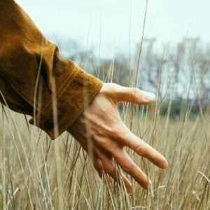 Hand brushing dry grass in a serene field, demonstrating Flagstaff Forest Bathing and nature connection.